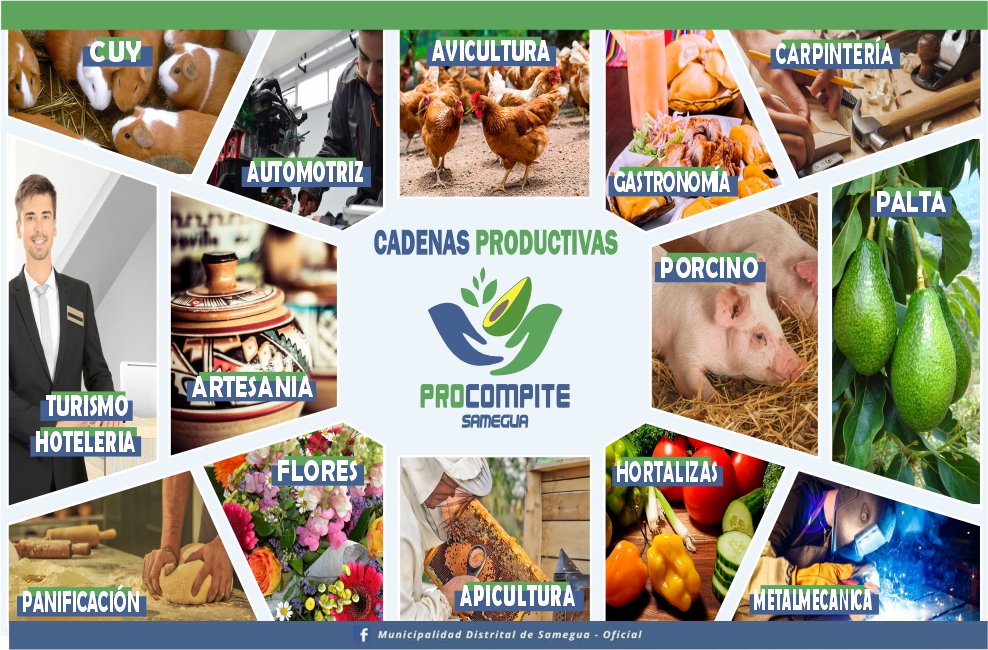 PROCOMPITE 2025